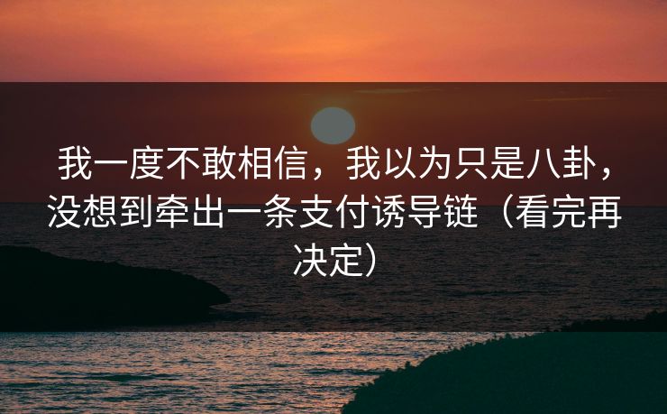 我一度不敢相信，我以为只是八卦，没想到牵出一条支付诱导链（看完再决定）