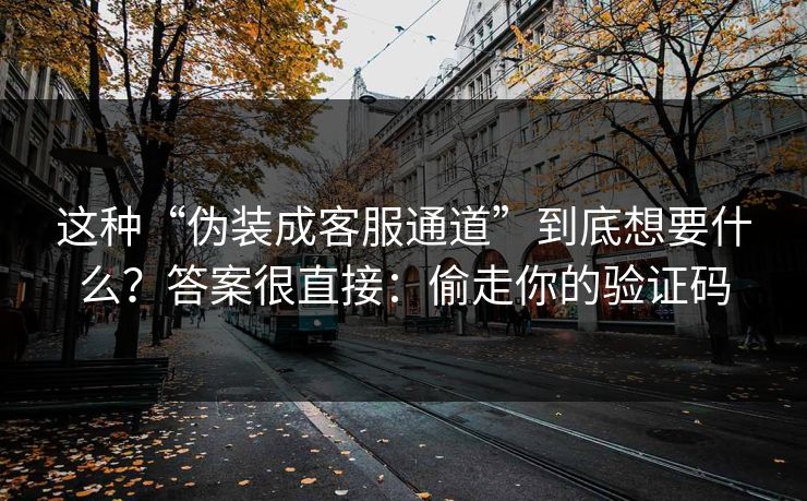 这种“伪装成客服通道”到底想要什么?答案很直接:偷走你的验证码