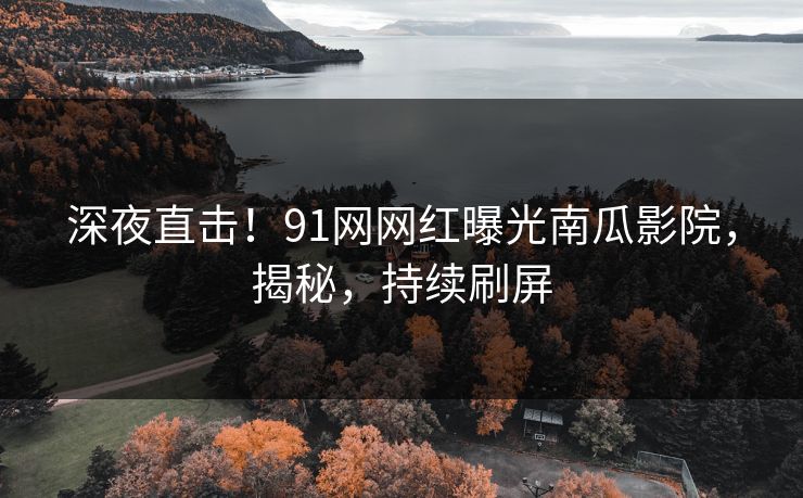 深夜直击!91网网红曝光南瓜影院,揭秘,持续刷屏