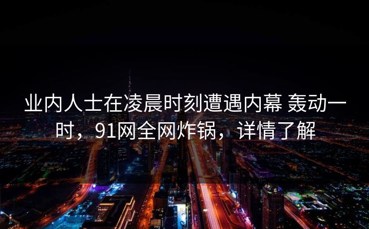 业内人士在凌晨时刻遭遇内幕 轰动一时，91网全网炸锅，详情了解